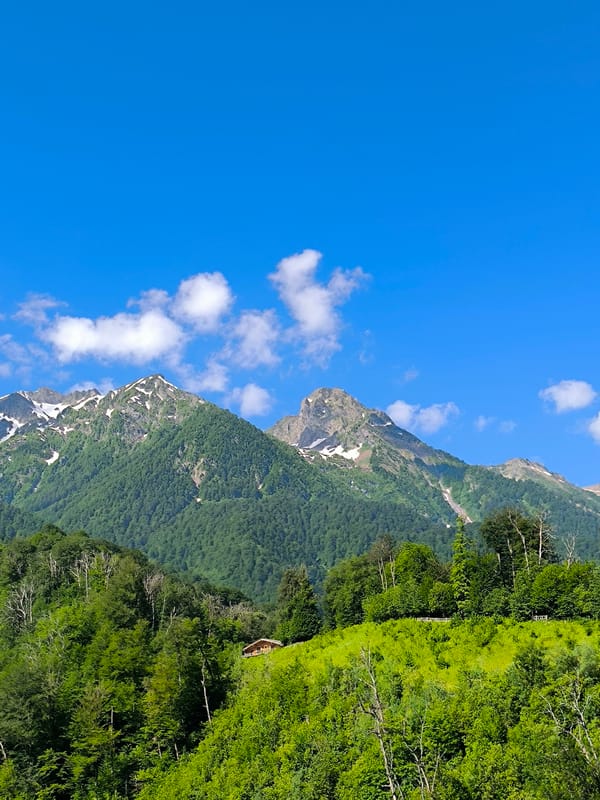Clear-sky views over forested mountain slopes in Estosadok
