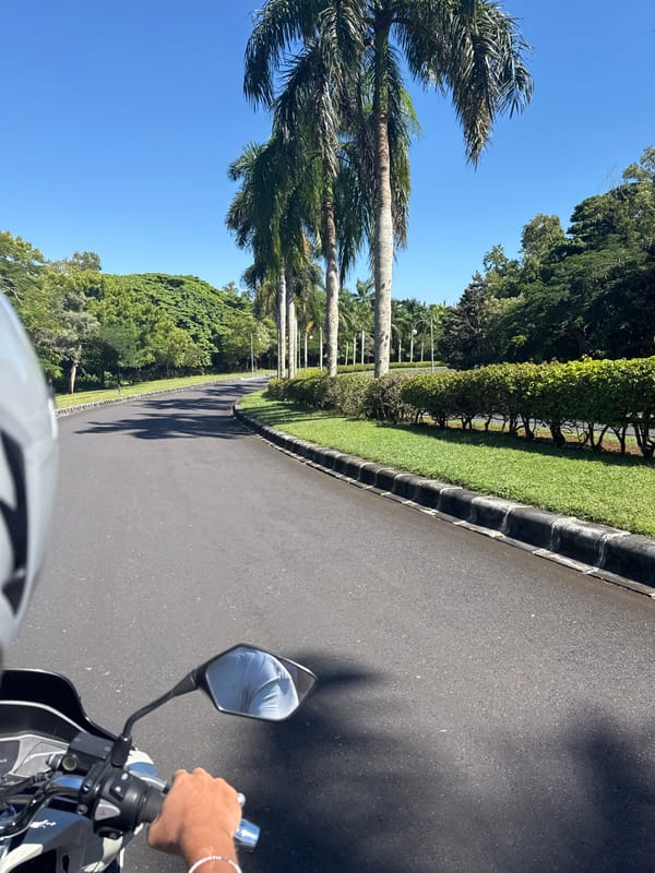 Motorcycle rider travels palm-lined coastal roads near restaurants