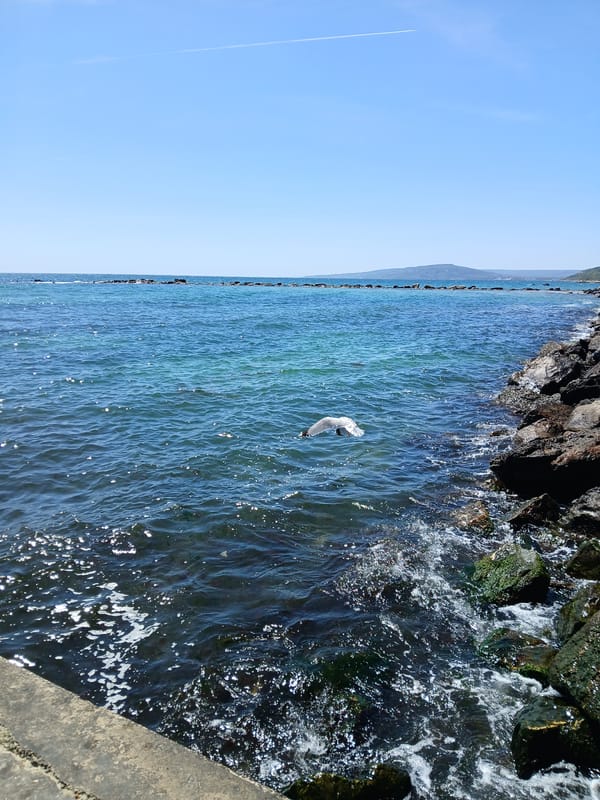 Tourist documents scenic Balchik coastal views in 11-minute span