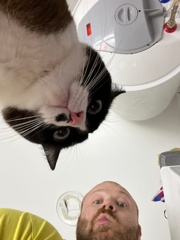 Man plays with cats in Russian home