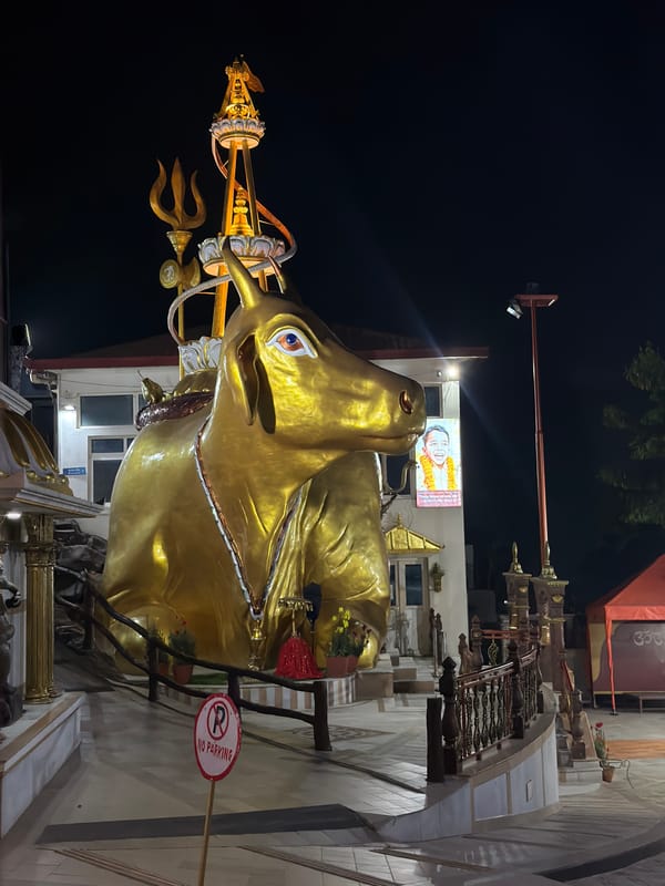 Gilded Nandi statue documented at Kathmandu temple complex