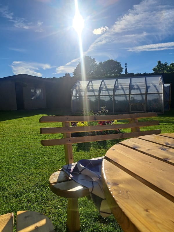 Summer afternoon in a Cēsis backyard, garden and all.