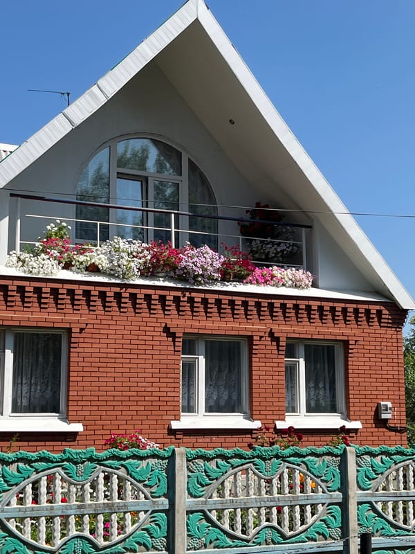 Flower-filled balcony and utility pole in a quiet residential spot