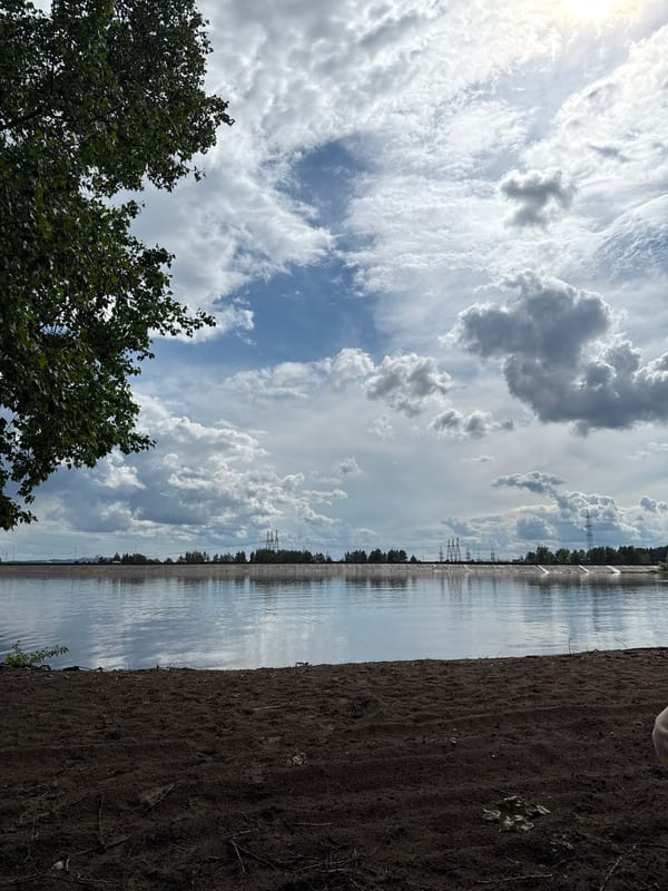 Rainy lakeside afternoon documented in Noviy, Russia