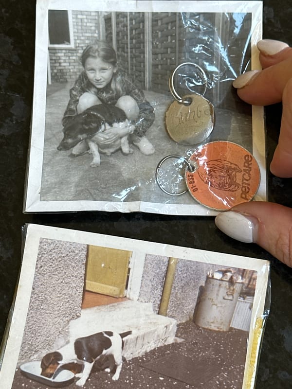 Person sorts through family photos and memorabilia in Wealden