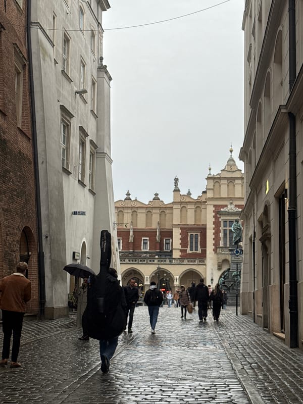 Rainy day brings pedestrians and pigeons together in Krakow square