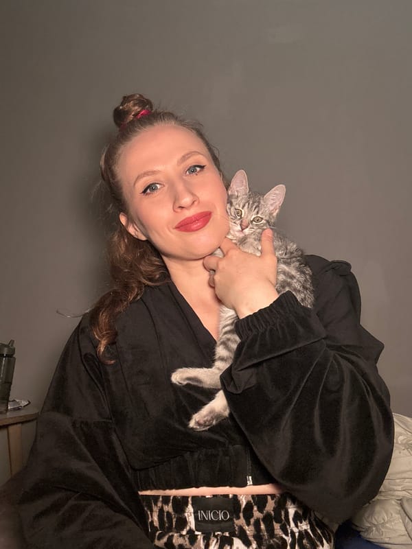 Tabby kitten gets some close-up attention in Moscow