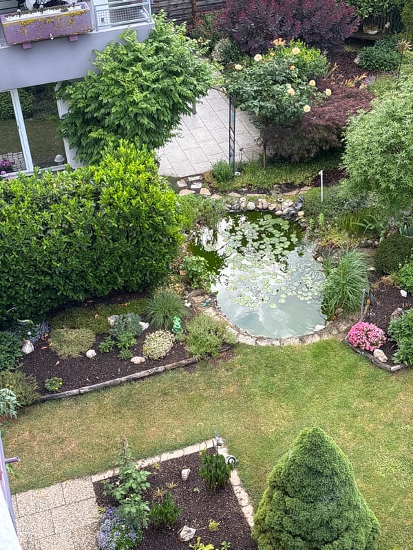 Urban garden and interior design elements documented by witness