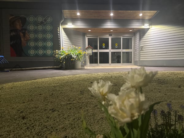 Late-night documentation of Surrey building with Indigenous murals, spring flowers