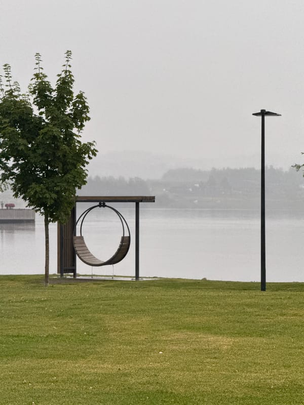 Rain-soaked park and macro florals in Brumunddal, Norway