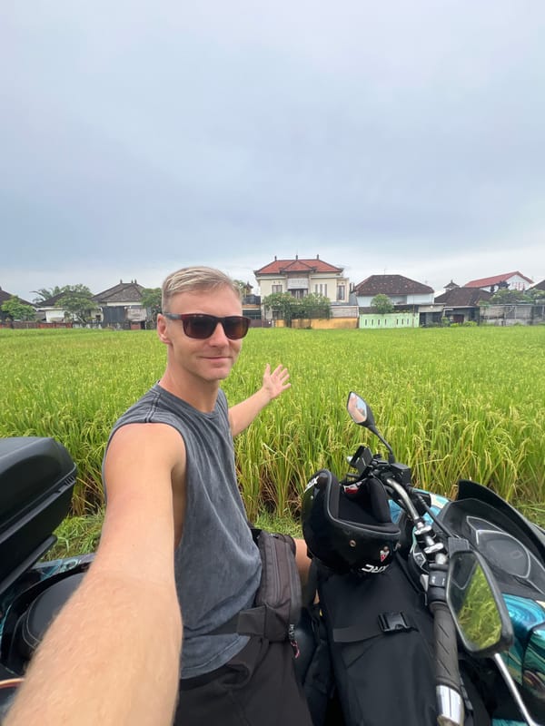 Tourist and cat separately spotted in Sukawati village