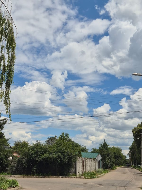 Sozonivka village streets and blooming garden flowers, June morning