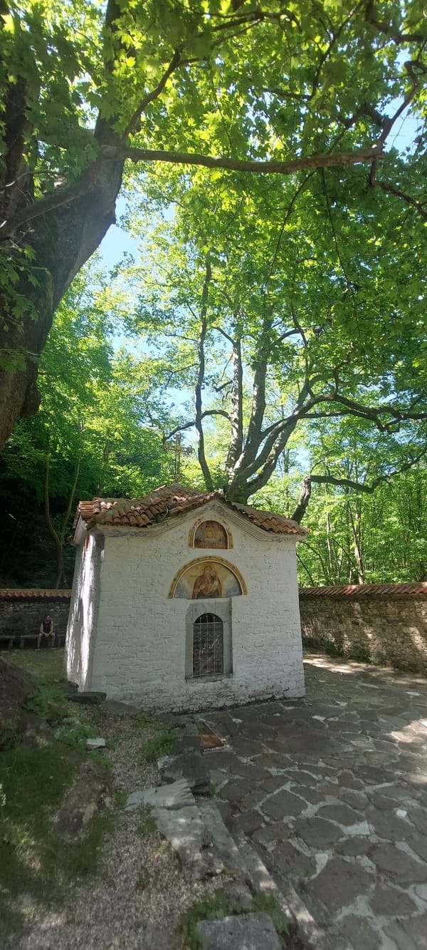 Visitor documents Bachkovo Monastery's religious art and natural surroundings