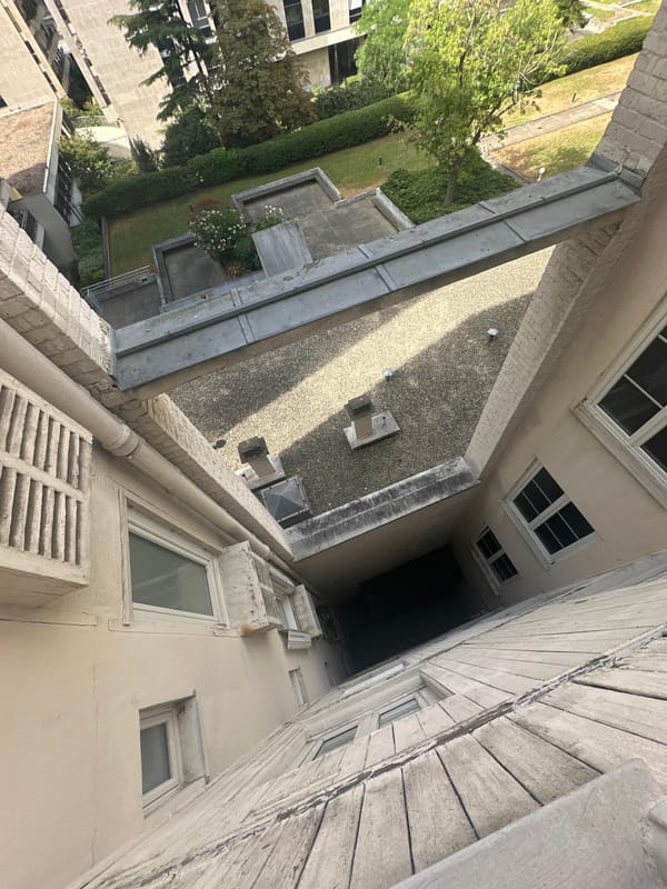 Lazy Paris apartment morning: sleeping cat, cameras, and courtyard views