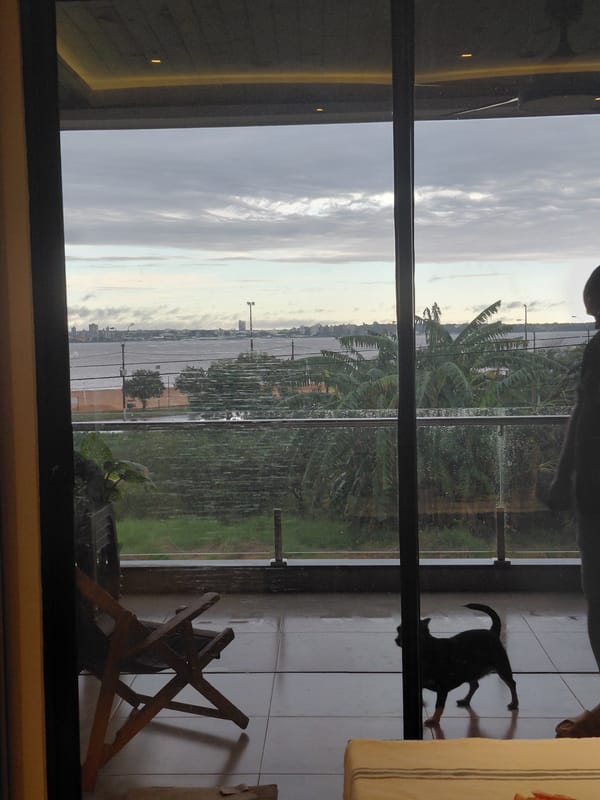Dinner and a sunset view over Encarnación