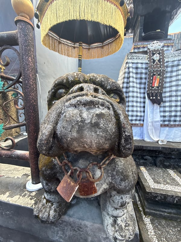 Morning scenes captured across North Kuta temples and cafes