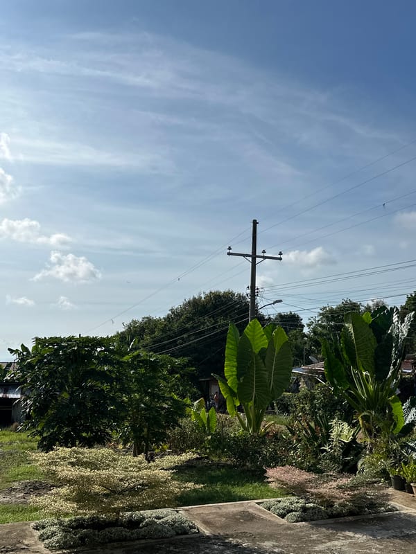 Casual moments captured across Davao City's gardens and streets