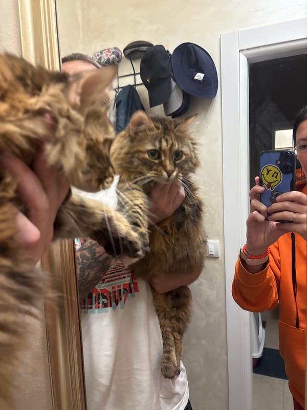 Noodle meal documented by witness in Bar, Montenegro