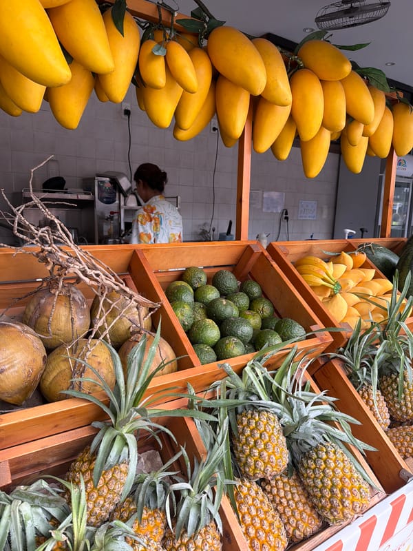 Fruit stall browse and seafood lunch in Đà Nẵng