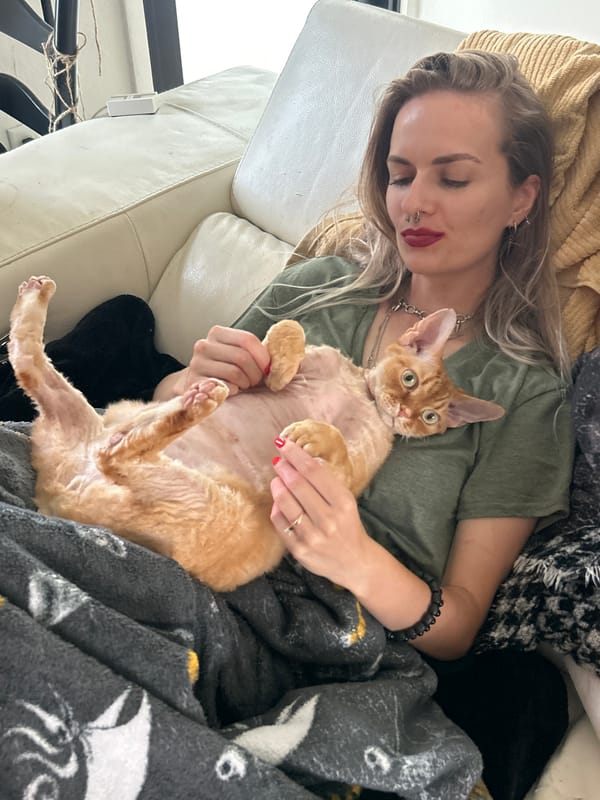 Cape Coral resident captures evening pet moments with cat, centipede