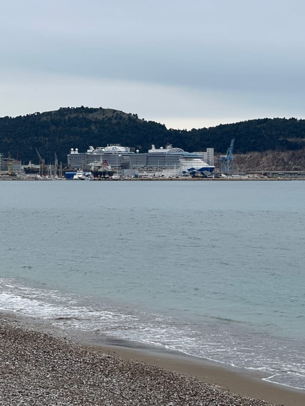 Morning coastal scenes and wildlife captured in Bar, Montenegro