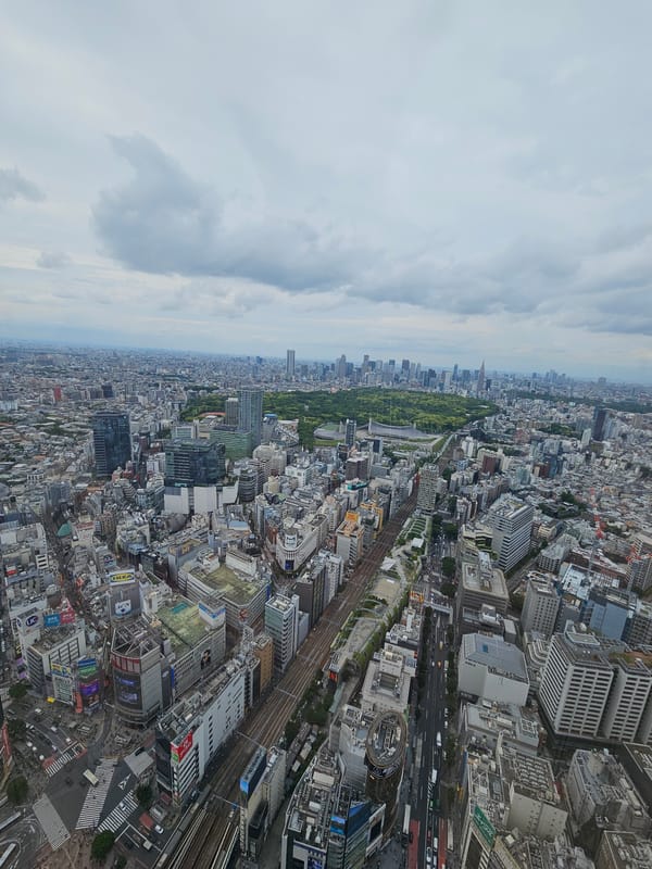 Aerial cityscape with central park observed under overcast skies