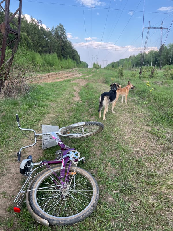 Woman cycles with three dogs on rural path near Nizhny Tagil