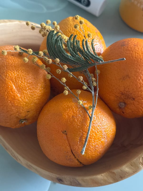Orange bowl with mimosa branches arranged on blue surface
