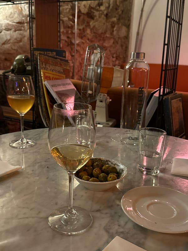 Evening dining and entertainment experience documented in Barcelona restaurant