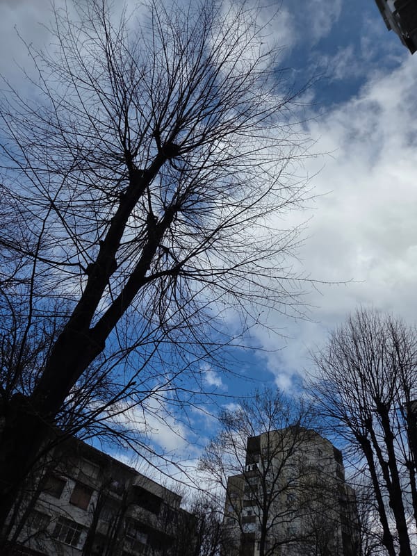 Ordinary life documented across Pleven, Bulgaria during afternoon hours