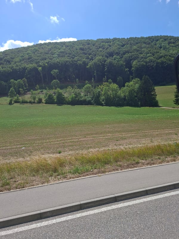 Rural roads and forested hills outside Bad Ditzenbach