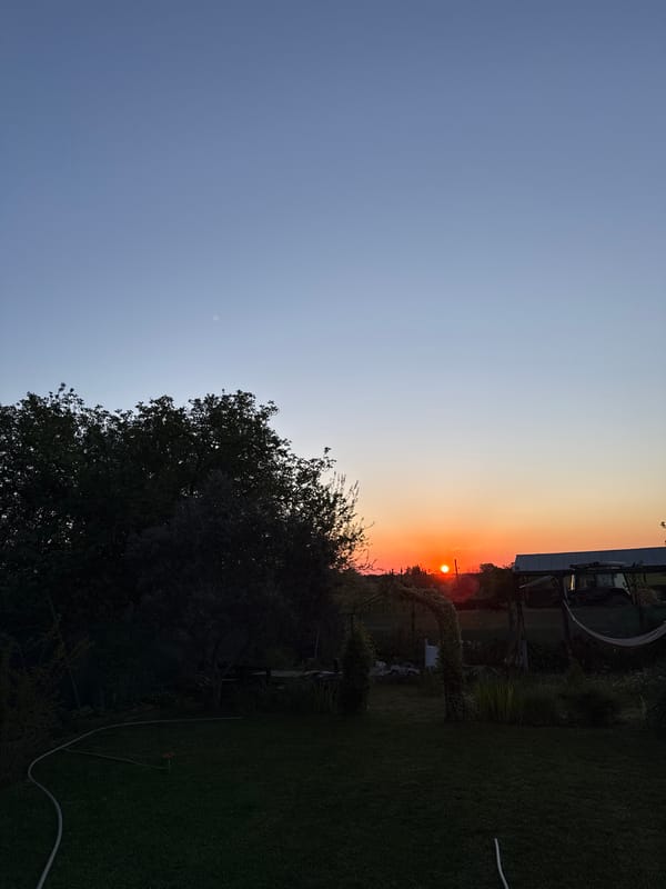 Sunset observed over treeline in Generalovo, Bulgaria