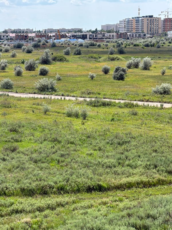 Morning exploration mixing urban scenes and nature details in Astana