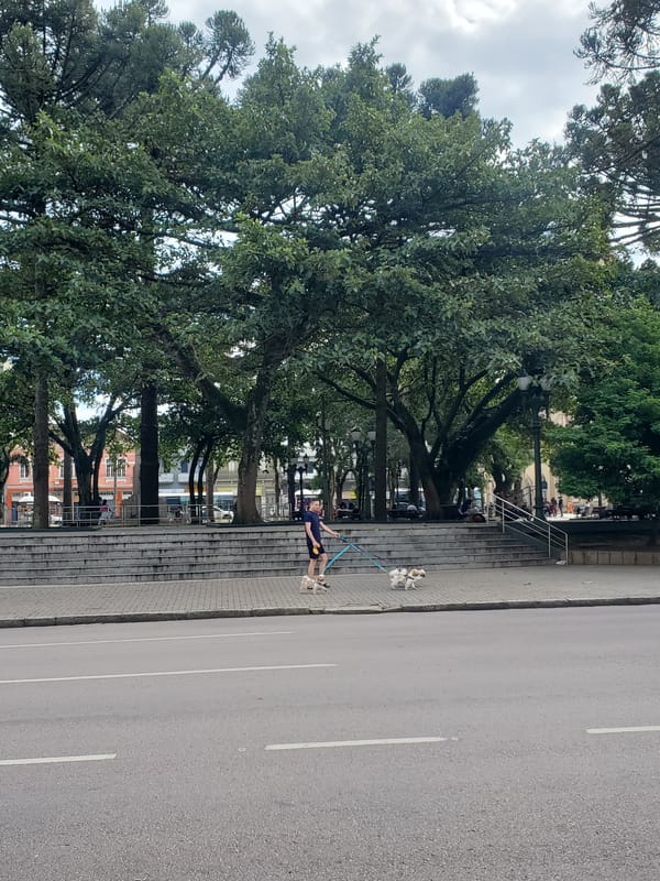 Midday market activity and street life documented in Curitiba