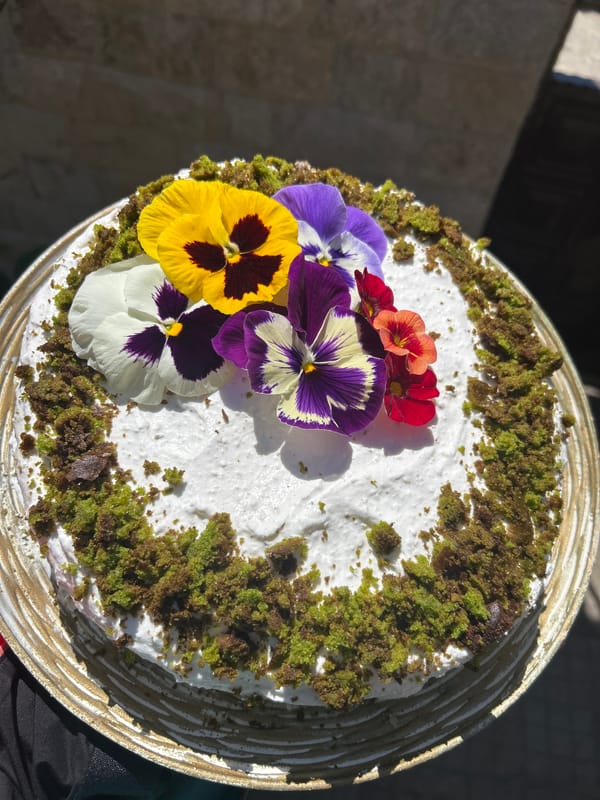 Decorated cake with pansy flowers photographed in Kadievo, Bulgaria
