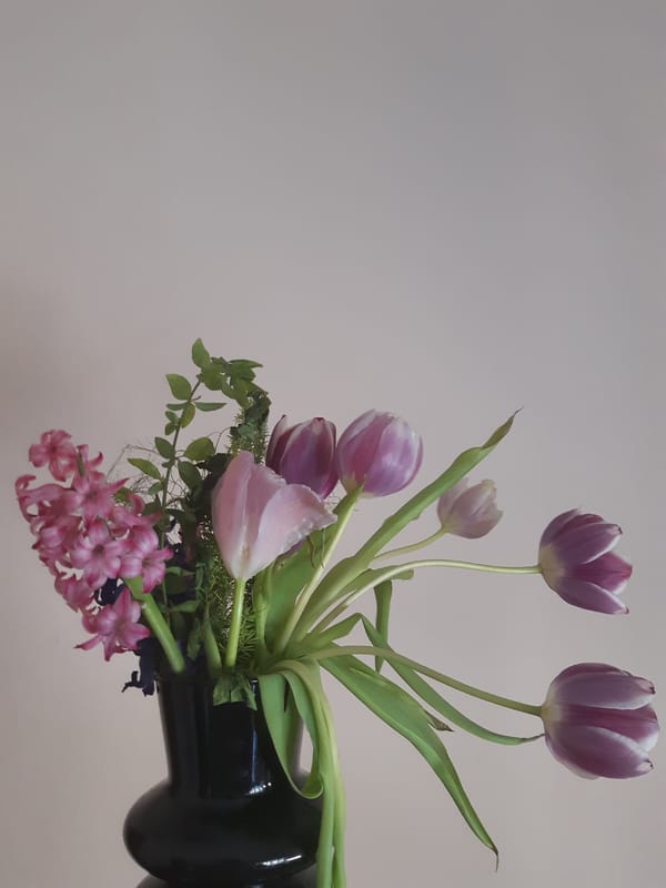 Spring morning still life captured in Plovdiv cafe