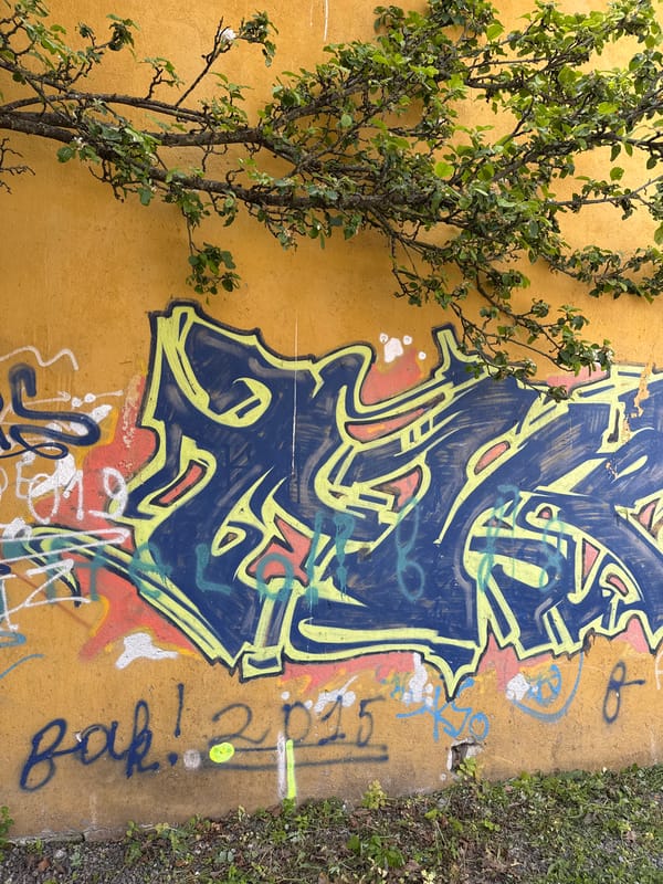 Street art and spring blooms documented in Tallinn