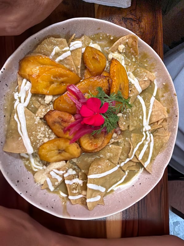 Restaurant diners photograph multiple chilaquiles dishes during afternoon meal