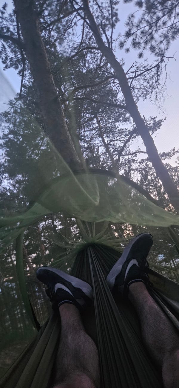 Forest camping experience documented through afternoon into evening