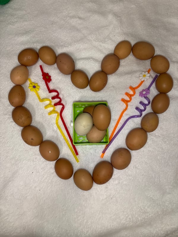 Easter egg arrangements documented in Izhevsk, Russia
