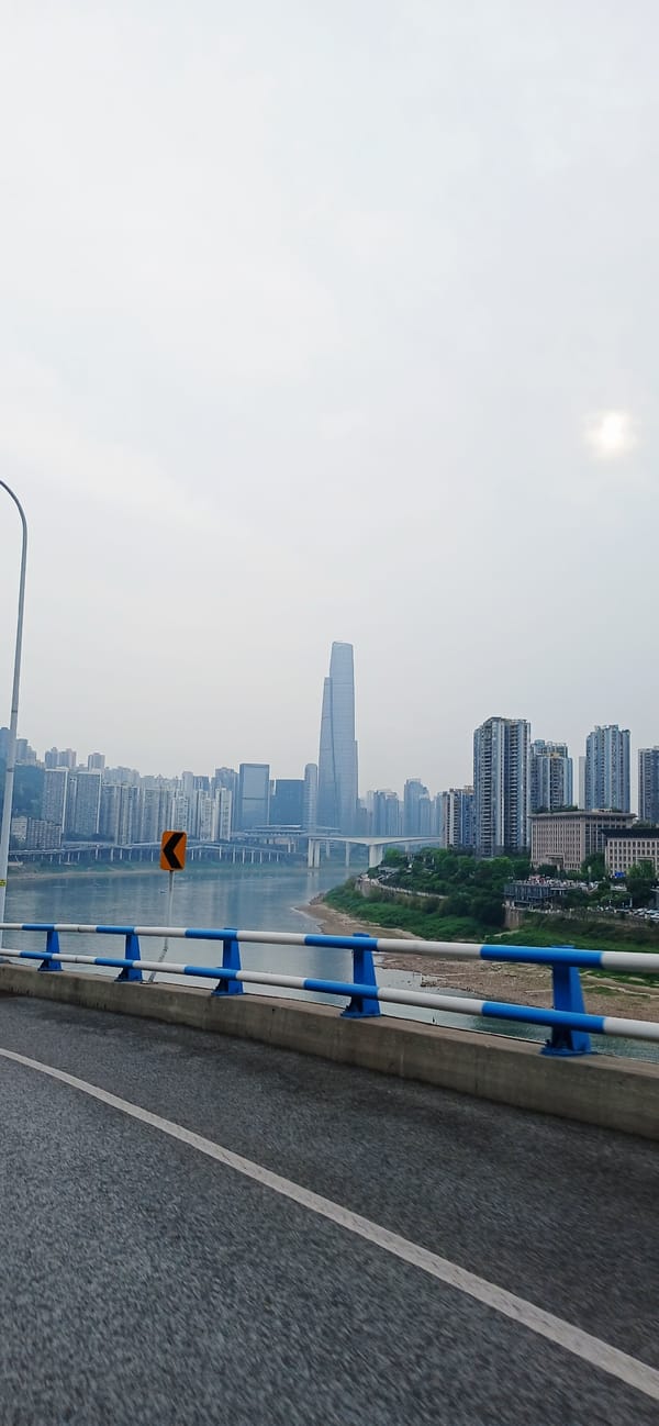 Bridge views capture Yuzhong District skyline in Chongqing