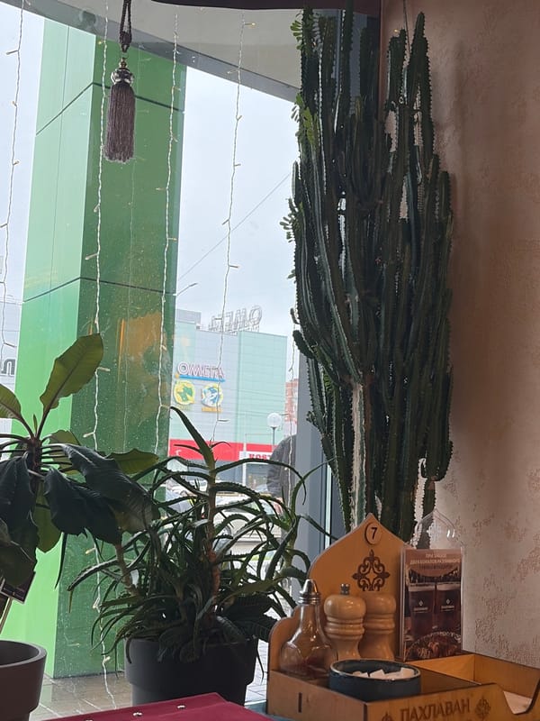 Rainy afternoon café stop in Izhevsk, soup and city streets