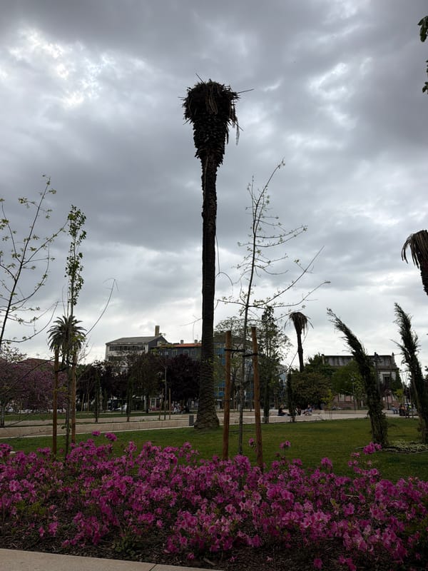Spring park scenes documented in Porto during cloudy afternoon