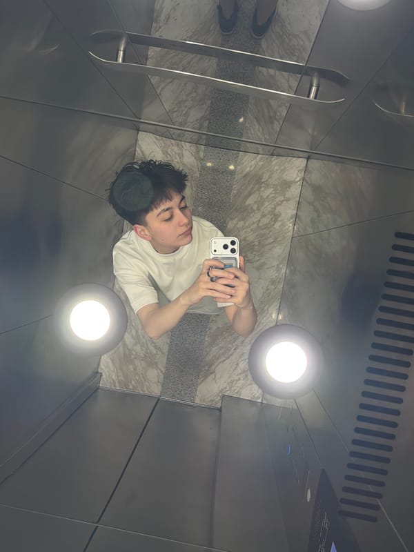 Young man takes selfie in Yerevan elevator