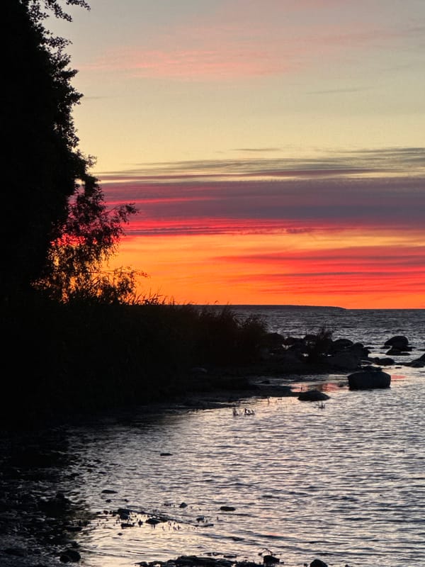 Baltic sunset along Tallinn's shoreline, midsummer evening