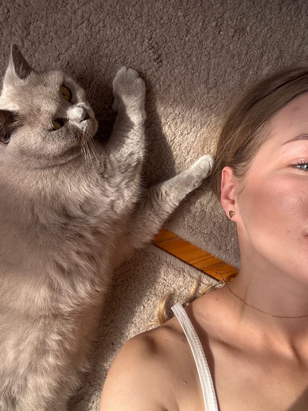 Lazy afternoon on the floor with a grey British Shorthair