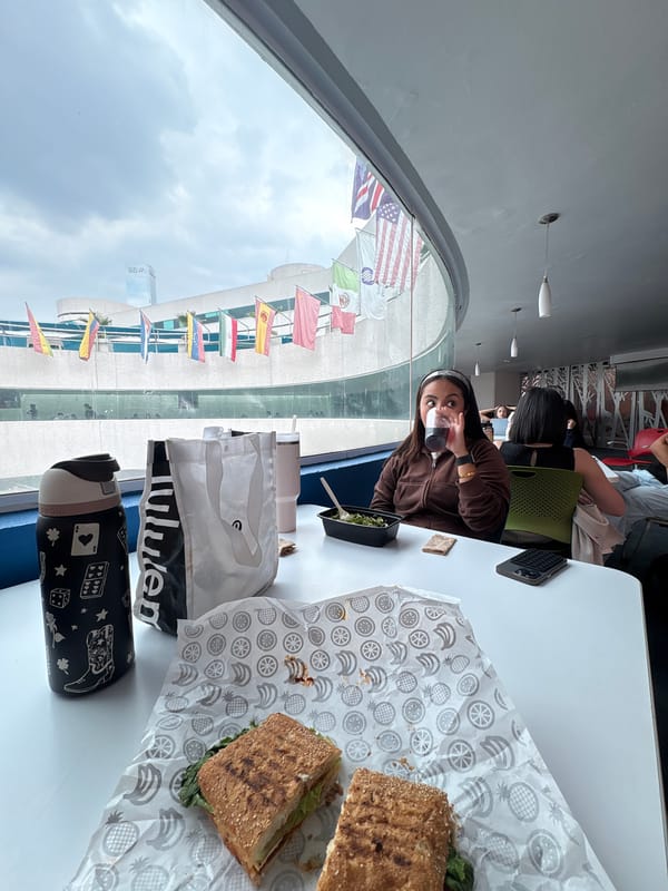 Woman dines on panini sandwich at Puebla restaurant