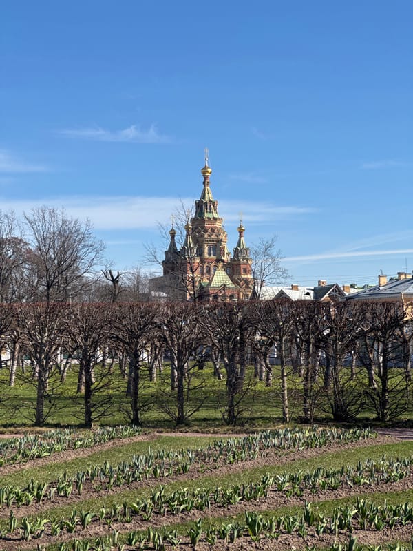 Tourist documents Peterhof Palace architecture and fountains during midday visit