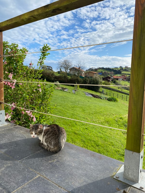 Morning backyard farming routine documented in Villaviciosa, Spain
