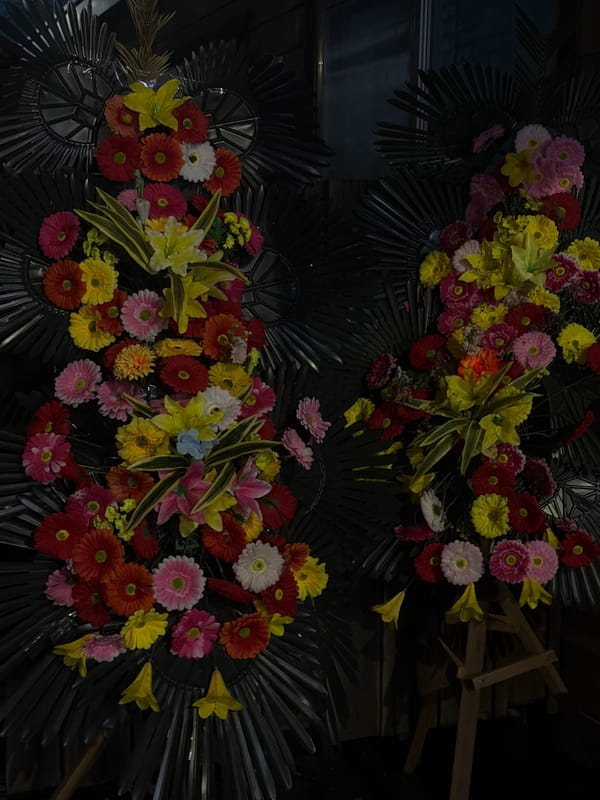 Neon-lit night streets and floral displays in Dongducheon-si